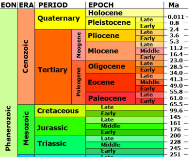 Weeks 16-17 Geologic Time Scale Lesson questions & answers for quizzes ...