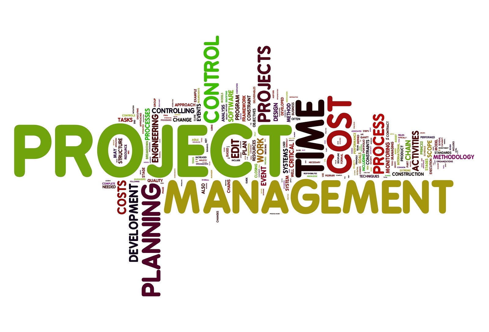 Project Management | Quizizz