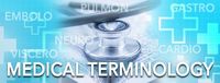 Medical Terminology - Year 12 - Quizizz
