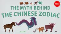 Chinese Zodiac Quizzes