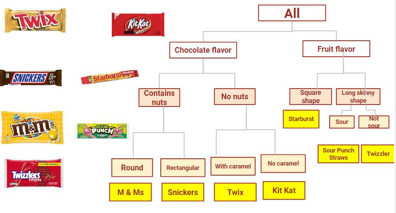 Classification & Taxonomy QUIZ | Quizizz