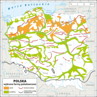 Powierzchnia czworokątów - Klasa 10 - Quiz