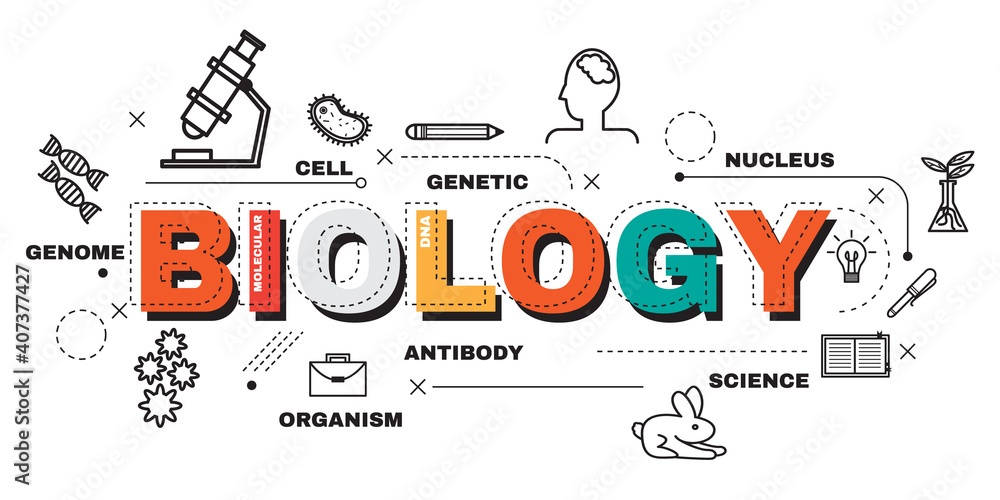 biologi manusia - Kelas 11 - Kuis