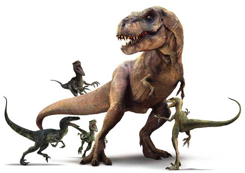 Brillan En La Oscuridad Esqueleto De T Rex por una tormenta de ideas-más de 50 Cm De Alto-Nuevo Y Sellado! 