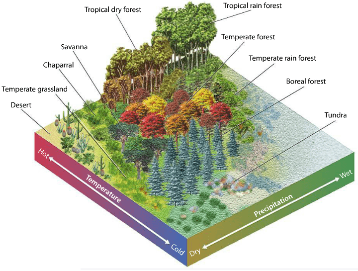 Biomes And Aquatic Ecosystems Ecology Quiz Quizizz