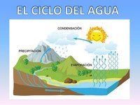 movimientos del agua del océano - Grado 2 - Quizizz