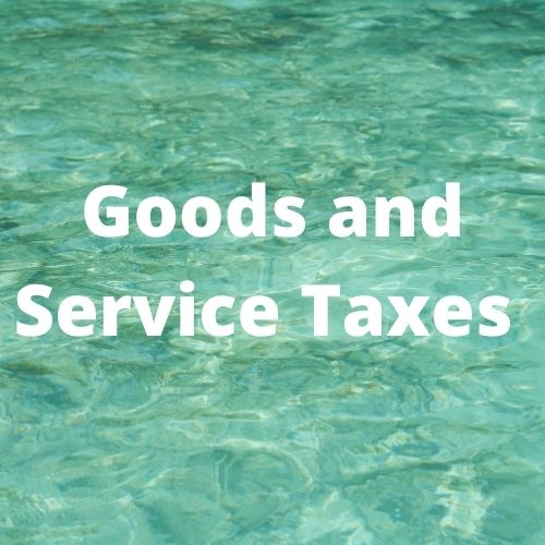 goods and services - Class 10 - Quizizz