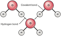 properties of carbon - Grade 10 - Quizizz