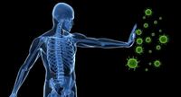 el sistema inmune Tarjetas didácticas - Quizizz