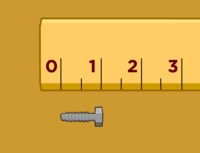 US (Imperial) Measurement - Grade 3 - Quizizz