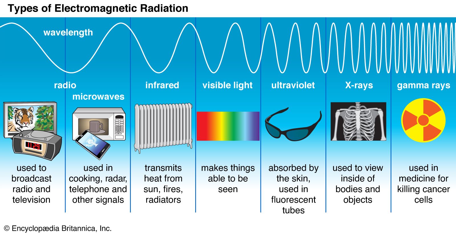 Electromagnetic Spectrum, Light, and Sound.
