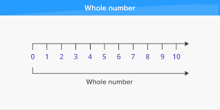 Class 6TH WHOLE NUMBER