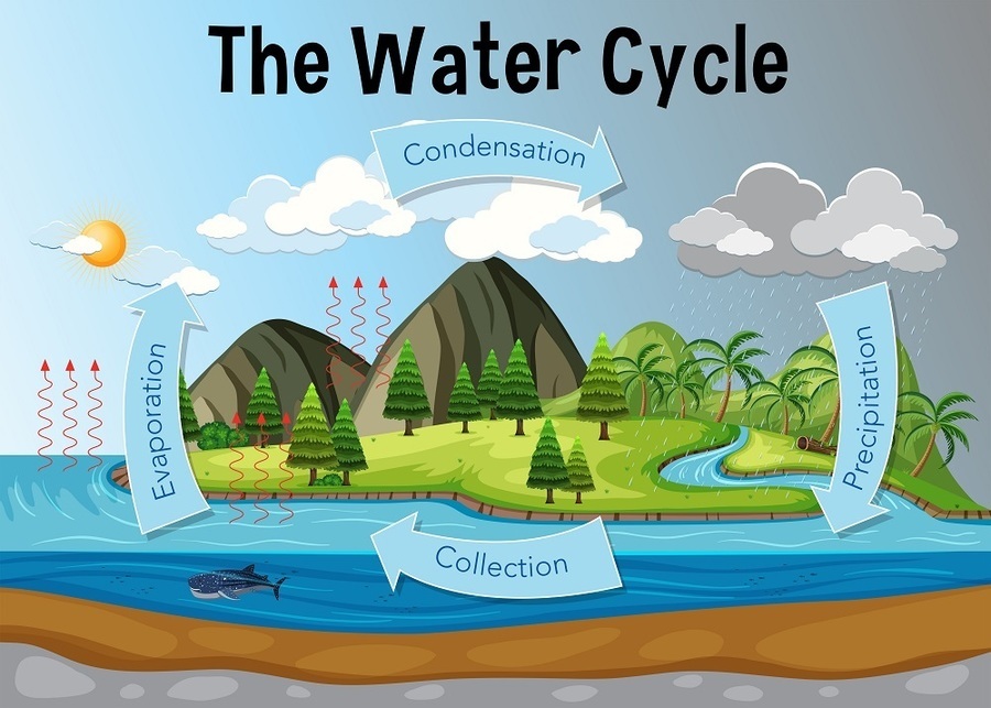 water-cycle-science-quizizz