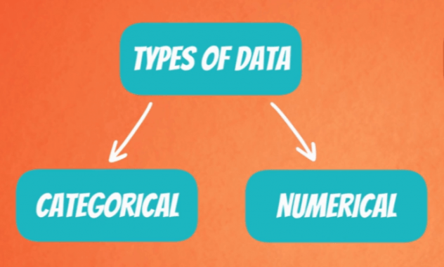 1b. I can tell the difference btwn Numerical vs Categorical Data
