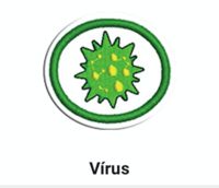 virus - Grado 8 - Quizizz