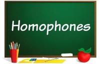 Homophones and Homographs - Year 1 - Quizizz