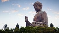 orígenes del budismo - Grado 8 - Quizizz