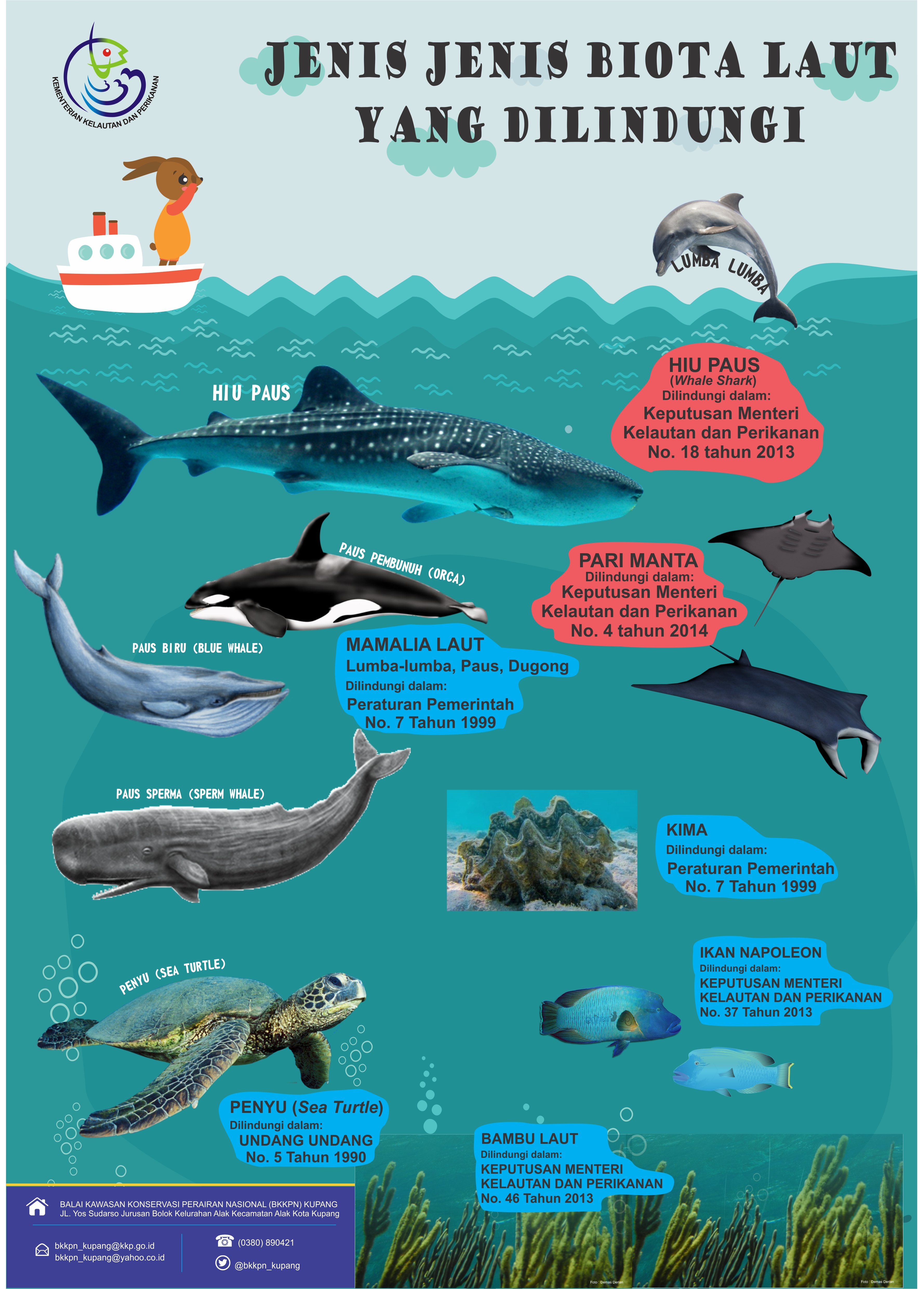 Biota Laut Dilindungi Zoology Quiz Quizizz