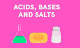 Amino Acids - Class 5 - Quizizz