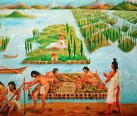 civilización azteca - Grado 4 - Quizizz