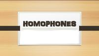 Homophones and Homographs - Class 4 - Quizizz