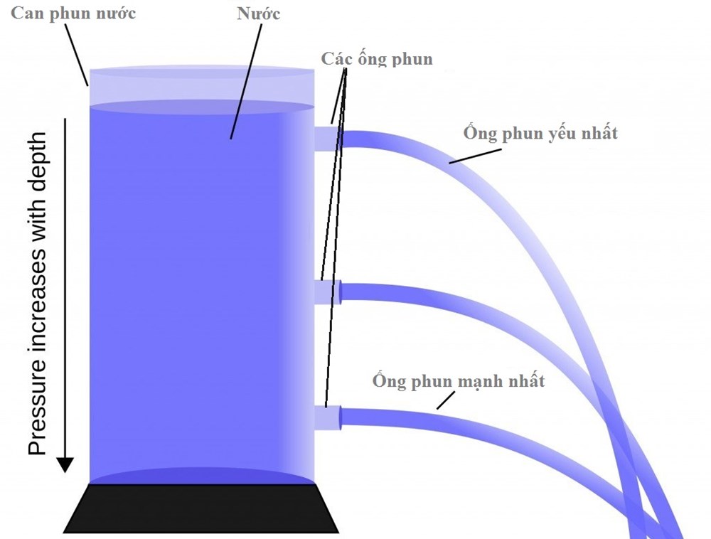 Xác suất & Tổ hợp - Lớp 2 - Quizizz