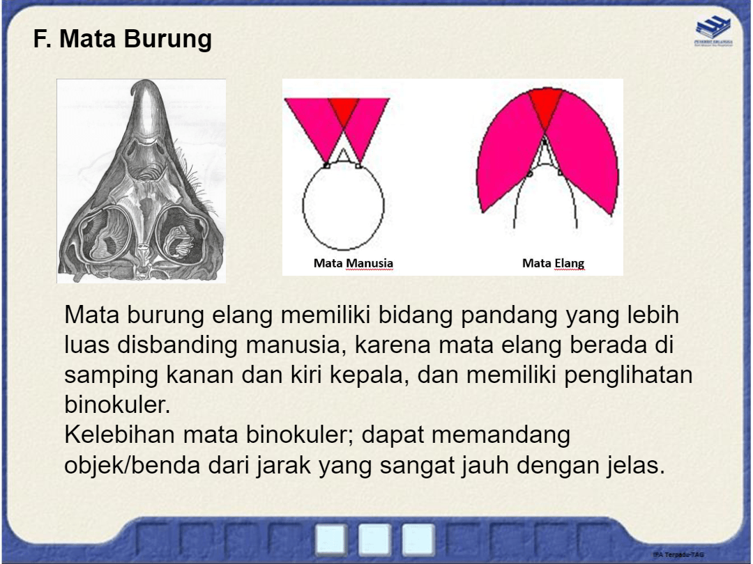 Cahaya Dan Alat Optik Pertanyaan & Jawaban Untuk Kuis Dan Tes - Quizizz