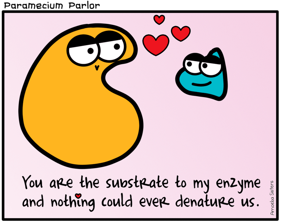 free-printable-enzymes-worksheets-quizizz