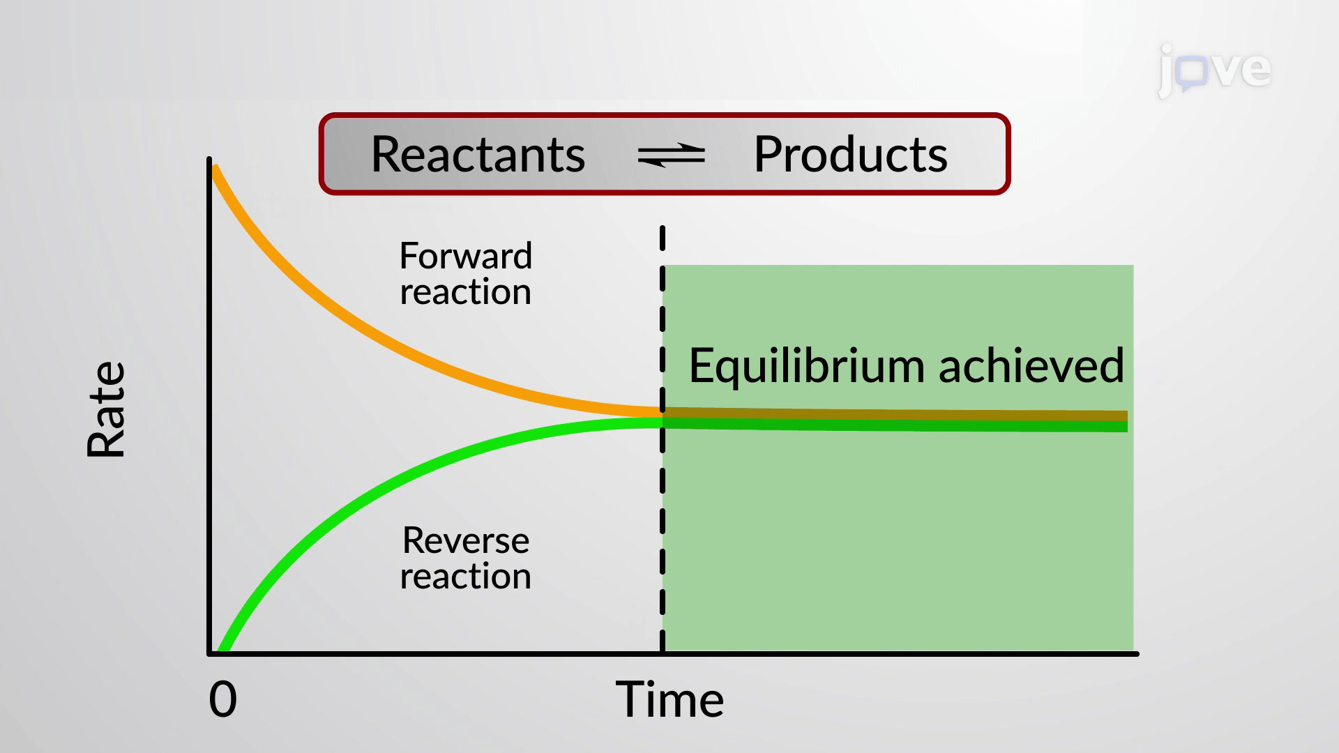 chemical equilibrium - Year 12 - Quizizz
