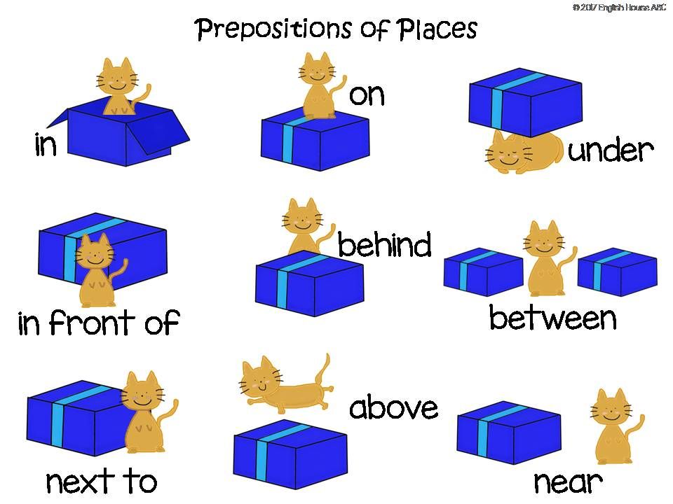 Prepositions of Place | Quizizz