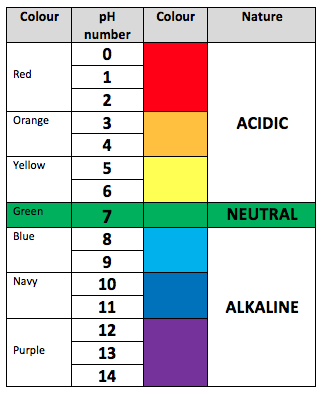 Scaled Pictographs - Year 9 - Quizizz