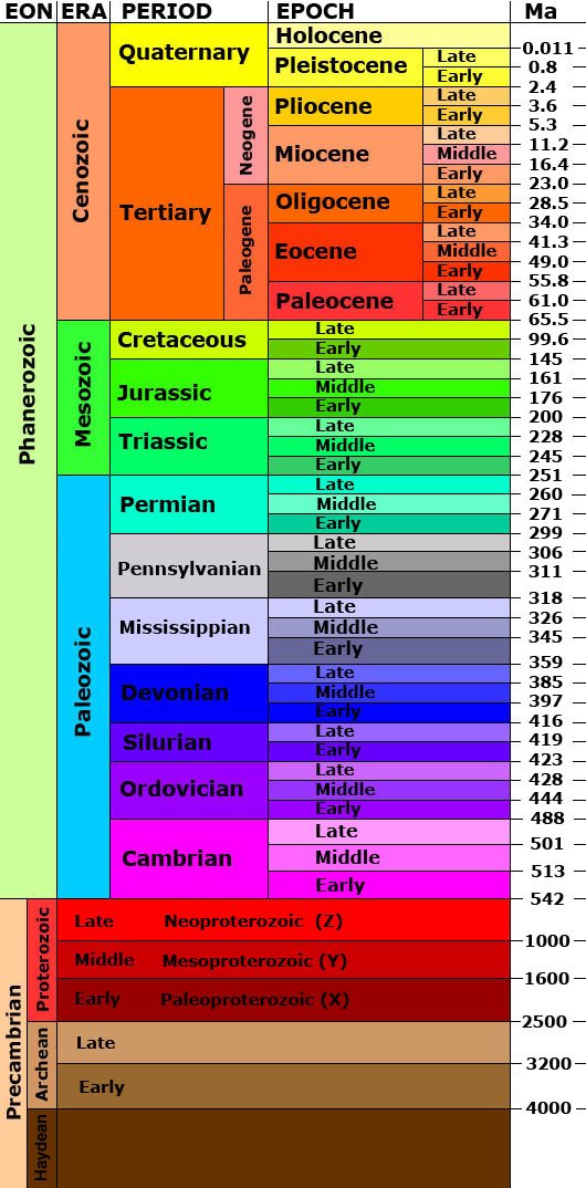 Fossils, Geologic Time Scale | Science Quiz - Quizizz