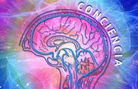 Consciencia - Grado 12 - Quizizz