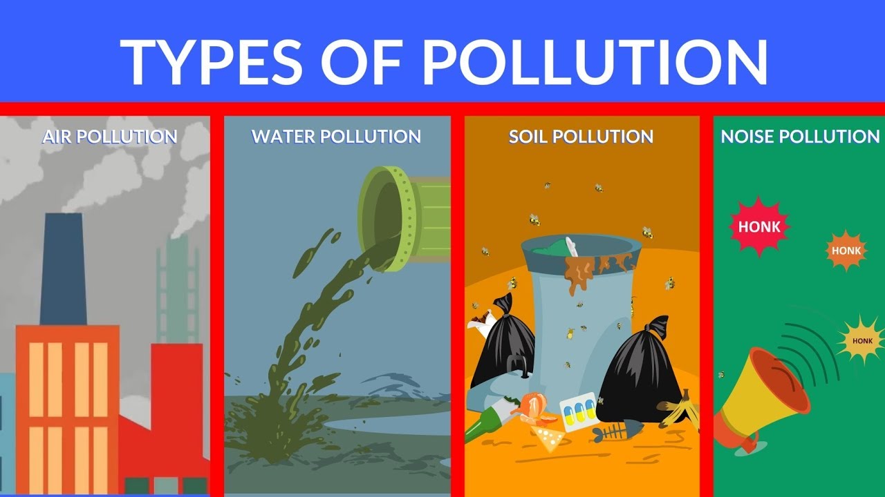 What Are the Different Types of Pollution?