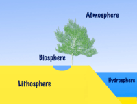 atmospheric circulation and weather systems Flashcards - Quizizz