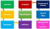 Paragraph Structure - Class 10 - Quizizz