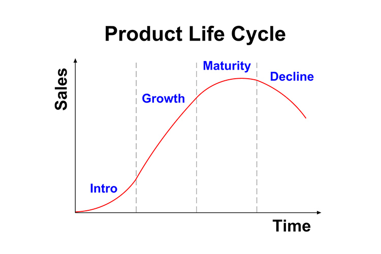 Product Life Cycle Business Quiz Quizizz