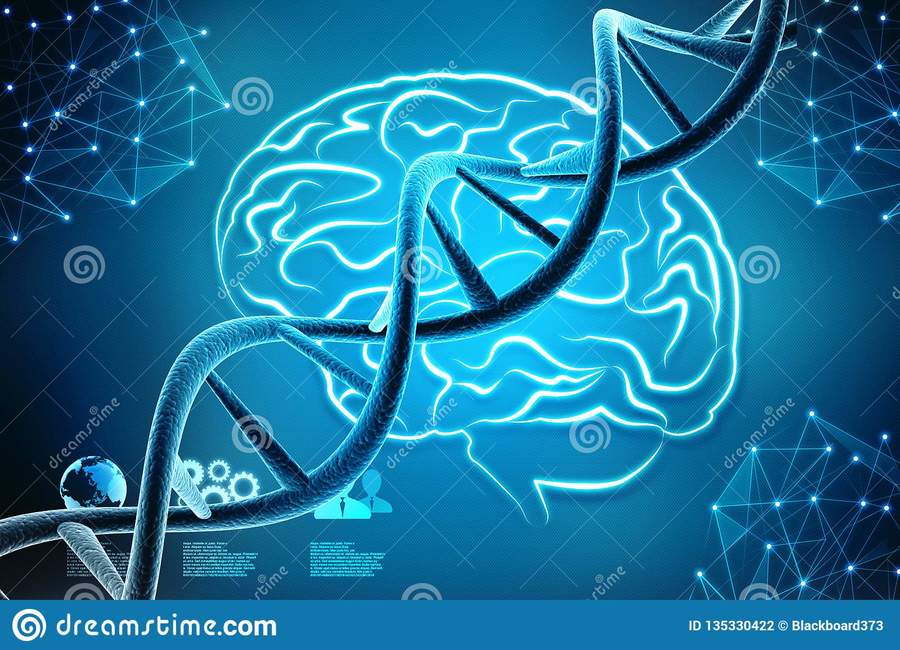 La Bioquimica 58 Jugadas Quizizz 2492