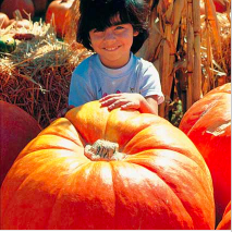 The Life Cycle Of A Pumpkin Reading Quiz Quizizz