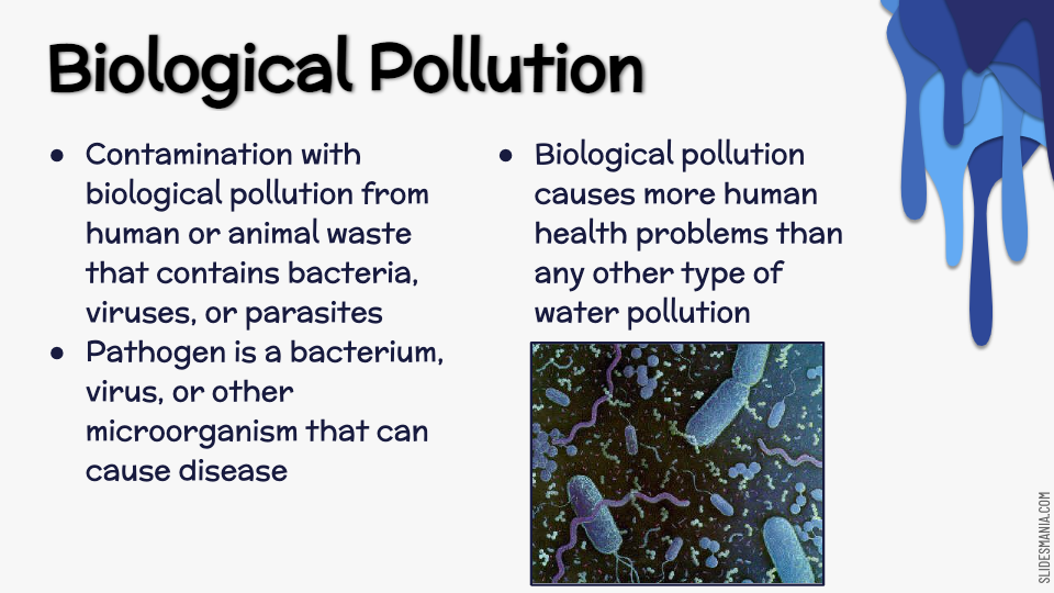 Water Pollution | Science - Quizizz