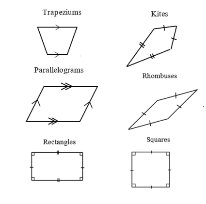 properties of rhombuses - Class 7 - Quizizz