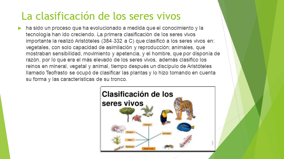 Clasificaciones naturales de los seres vivos - Quizizz