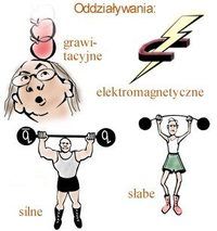 wektory - Klasa 5 - Quiz