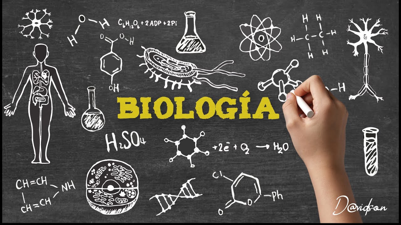 biodiversidad y conservación - Grado 1 - Quizizz