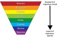 developmental biology - Year 11 - Quizizz