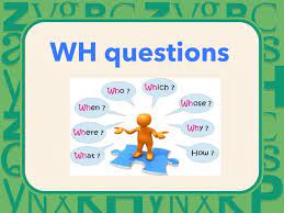 Who What When Where Why Questions - Year 1 - Quizizz