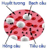 Quy mô và chuyển đổi - Lớp 8 - Quizizz