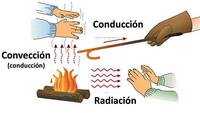 transferencia de calor y equilibrio térmico - Grado 4 - Quizizz