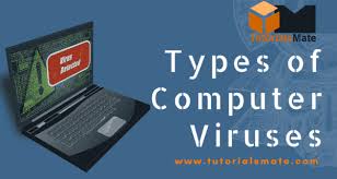 Types of computer viruses