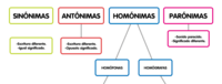 Variedad de oraciones Tarjetas didácticas - Quizizz